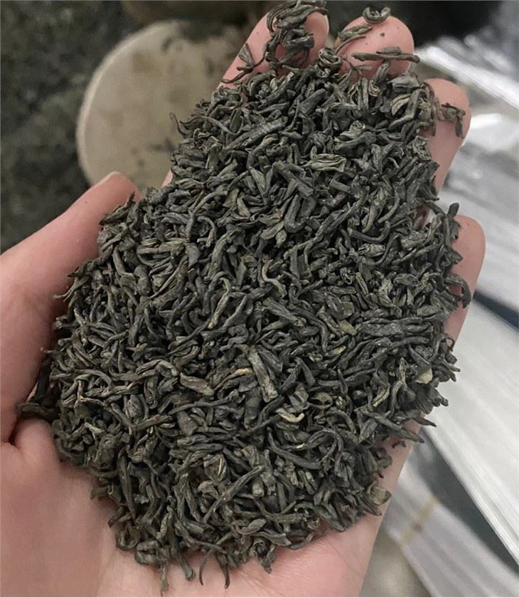 Chunmee Tea wholesale